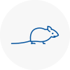 Mice Exterminators In Hadfield