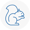 Hadfield Rodent Removals